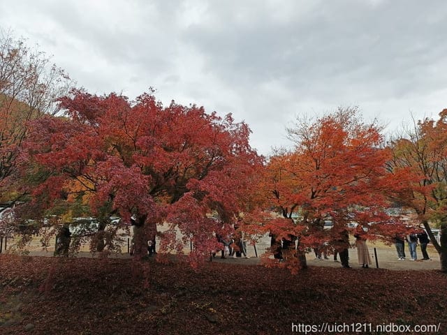 日本河口湖