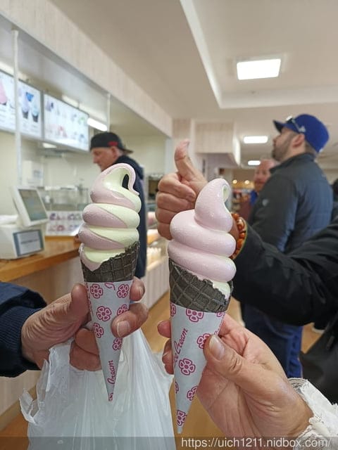 日本河口湖