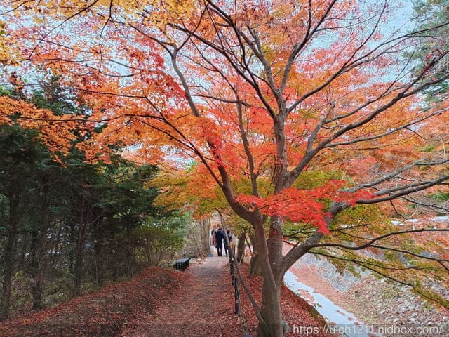 日本河口湖