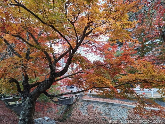 日本河口湖