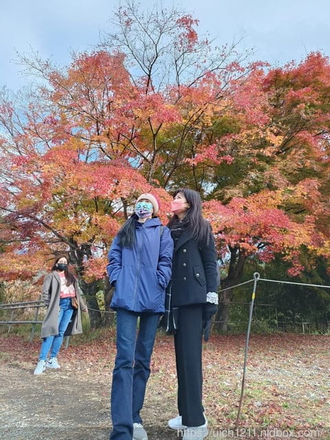 日本河口湖