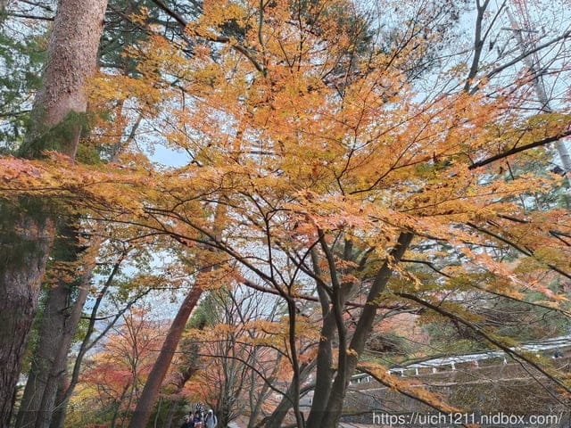 日本河口湖