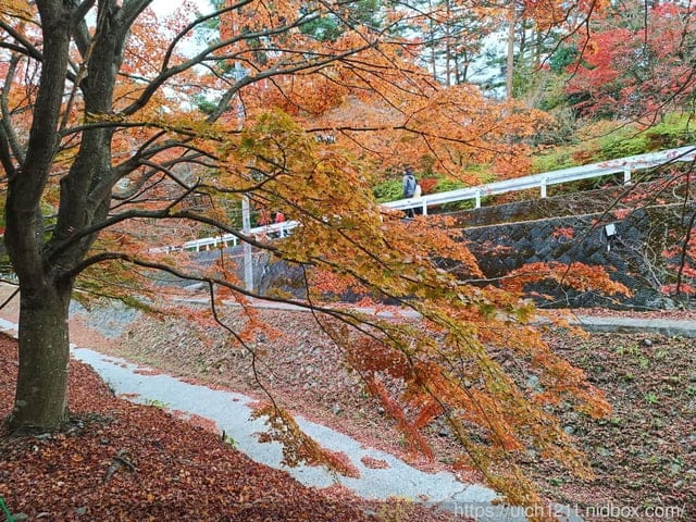 日本河口湖