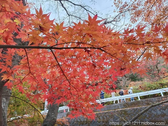 日本河口湖