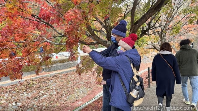 日本河口湖
