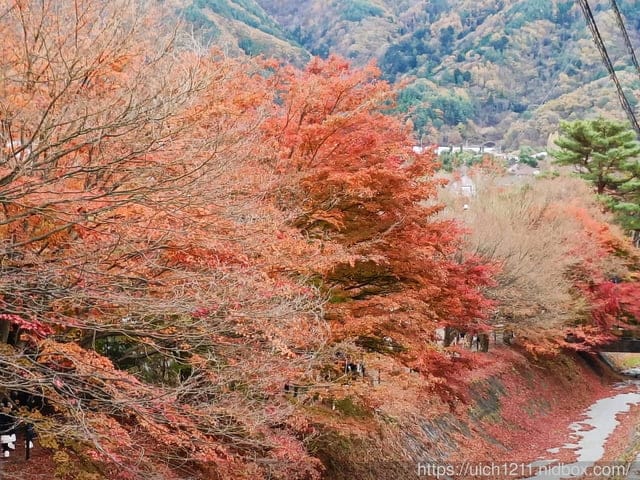 日本河口湖