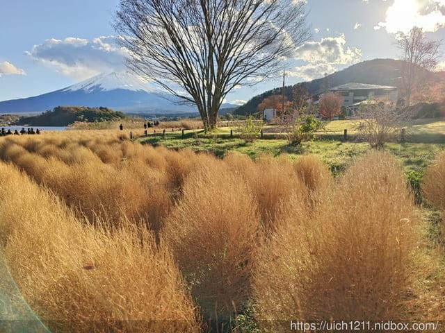 日本河口湖