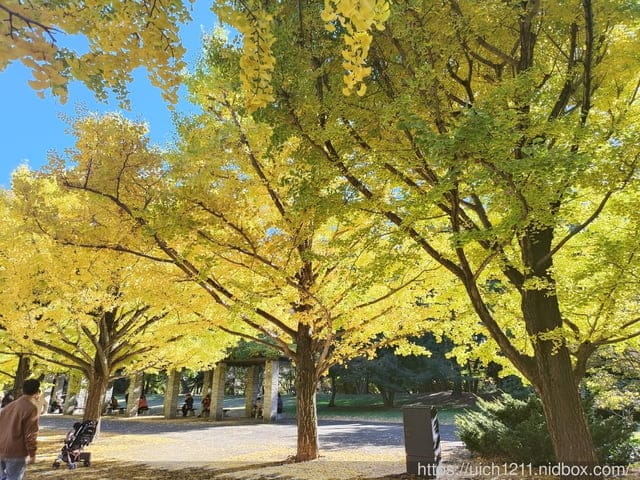 日本新宿之旅第四天 - 第24張圖 日本新宿之旅第四天