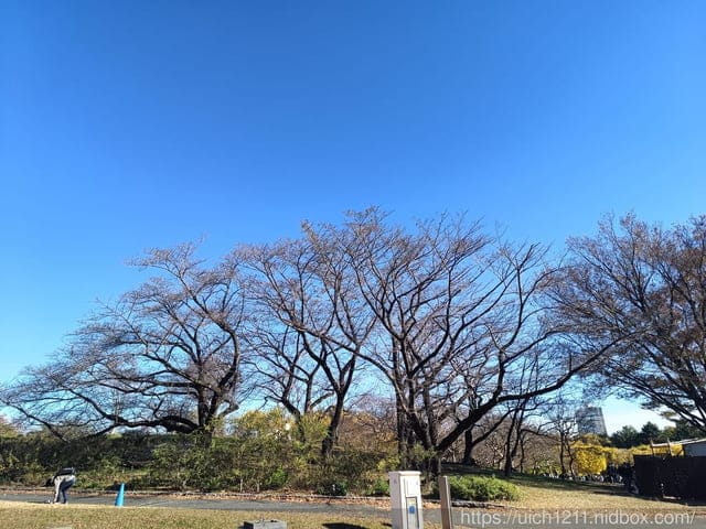 日本新宿之旅第四天 - 第33張圖 日本新宿之旅第四天