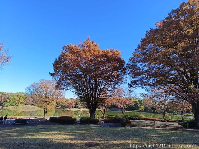 日本新宿之旅第四天 - 第3張圖 日本新宿之旅第四天