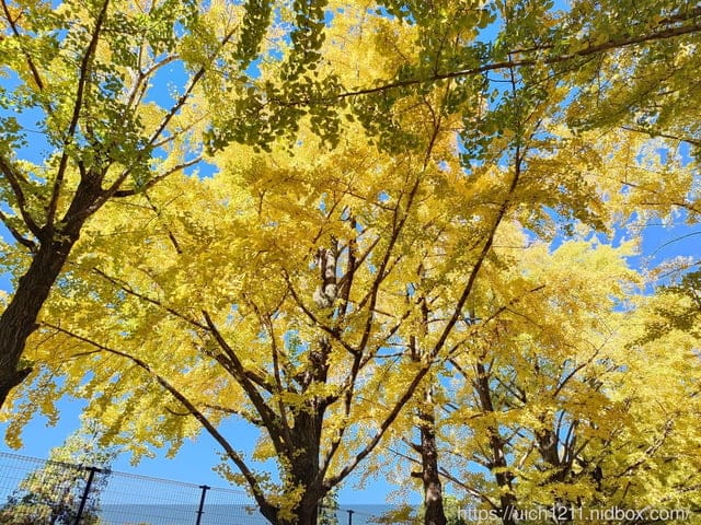 日本新宿之旅第四天 - 第21張圖 日本新宿之旅第四天