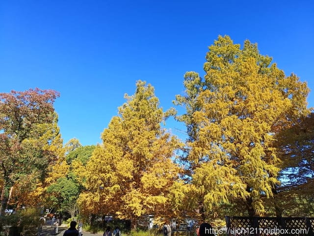 日本新宿之旅第四天 - 第6張圖 日本新宿之旅第四天