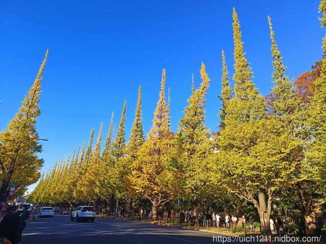 日本新宿之旅第四天 - 第45張圖 日本新宿之旅第四天