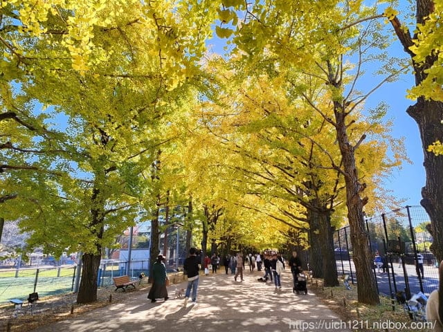 日本新宿之旅第四天 - 第19張圖 日本新宿之旅第四天