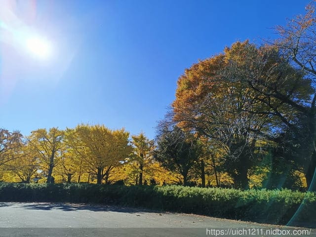 日本新宿之旅第四天 - 第14張圖 日本新宿之旅第四天