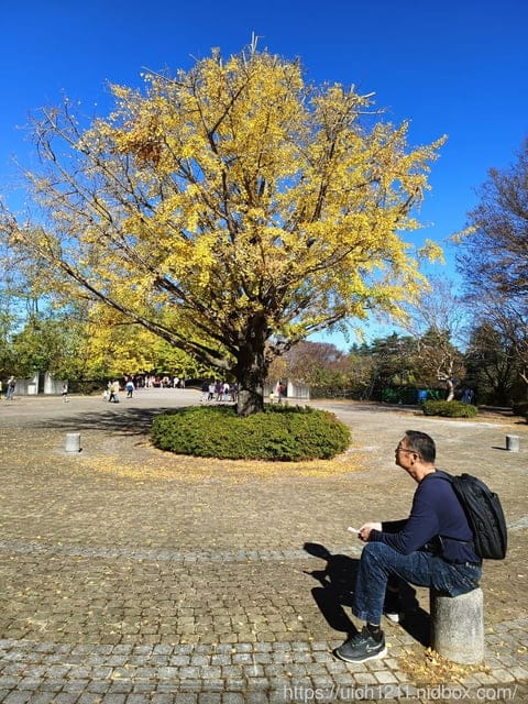 日本新宿之旅第四天 - 第27張圖 日本新宿之旅第四天