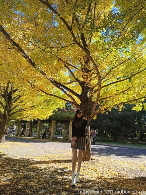 日本新宿之旅第四天 - 第25張圖 日本新宿之旅第四天