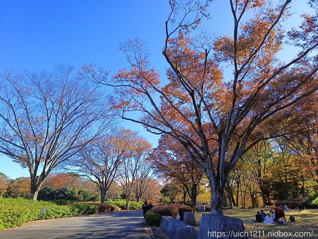 日本新宿之旅第四天 - 第31張圖 日本新宿之旅第四天