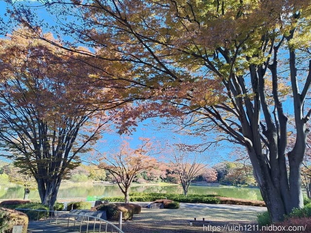 日本新宿之旅第四天 - 第4張圖 日本新宿之旅第四天
