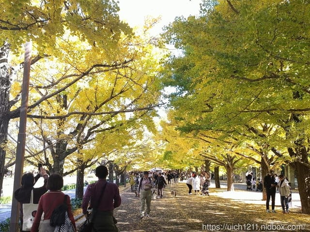 日本新宿之旅第四天 - 第22張圖 日本新宿之旅第四天