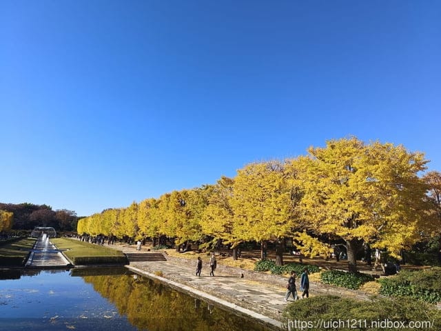 日本新宿之旅第四天 - 第38張圖 日本新宿之旅第四天
