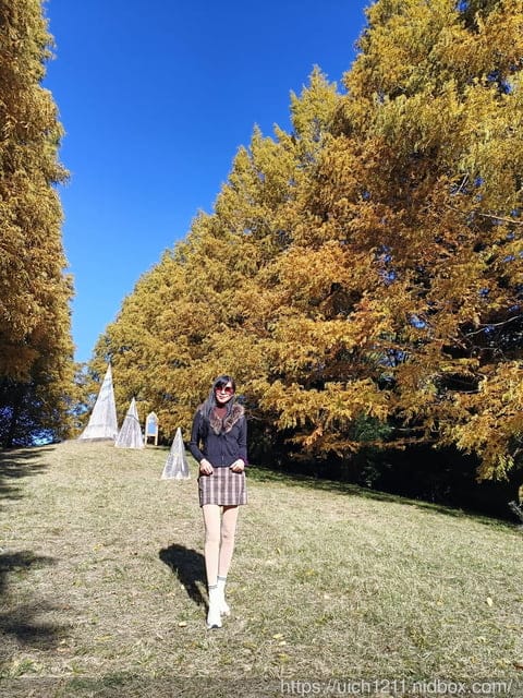 日本新宿之旅第四天 - 第11張圖 日本新宿之旅第四天