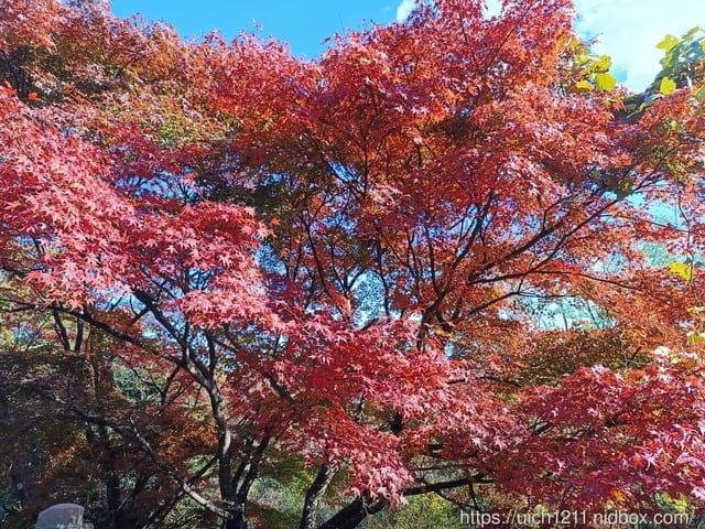 日本新宿之旅高島山完結篇 - 第8張圖 日本新宿之旅高島山完結篇