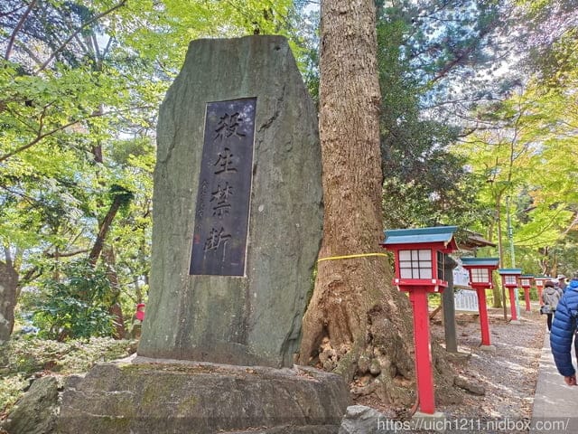 日本新宿之旅高島山完結篇 - 第6張圖 日本新宿之旅高島山完結篇