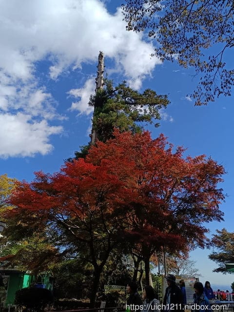 日本新宿之旅高島山完結篇 - 第15張圖 日本新宿之旅高島山完結篇