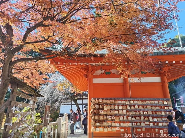 日本新宿之旅高島山完結篇 - 第31張圖 日本新宿之旅高島山完結篇