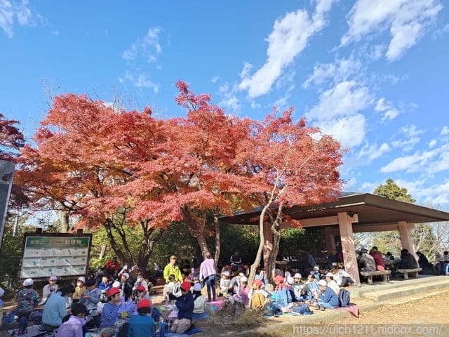日本新宿之旅高島山完結篇 - 第35張圖 日本新宿之旅高島山完結篇