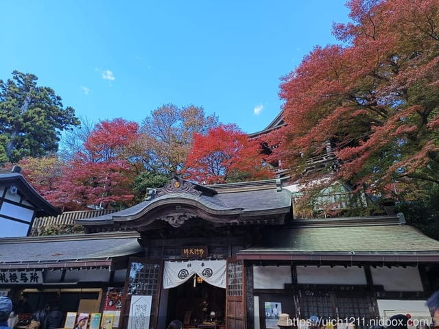 日本新宿之旅高島山完結篇 - 第28張圖 日本新宿之旅高島山完結篇