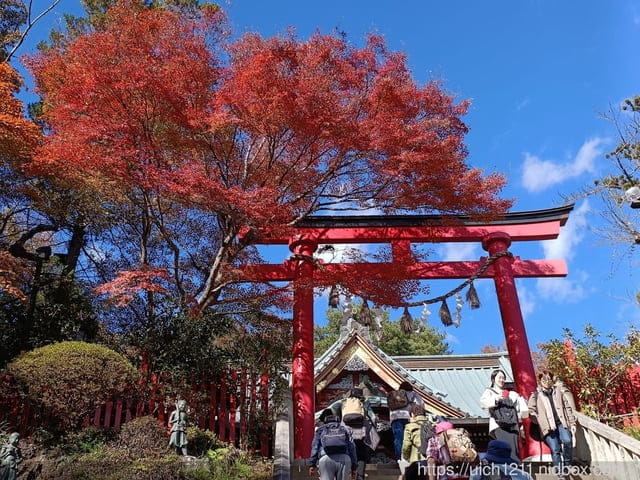 日本新宿之旅高島山完結篇 - 第32張圖 日本新宿之旅高島山完結篇