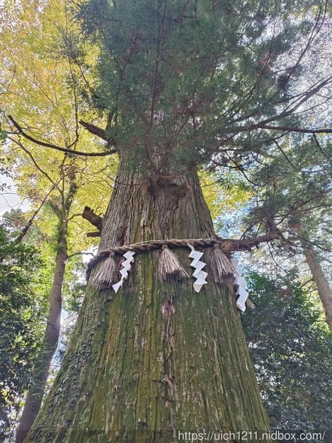 日本新宿之旅高島山完結篇 - 第17張圖 日本新宿之旅高島山完結篇