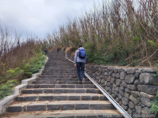 澎湖跳島玩 - 第81張圖 澎湖跳島玩