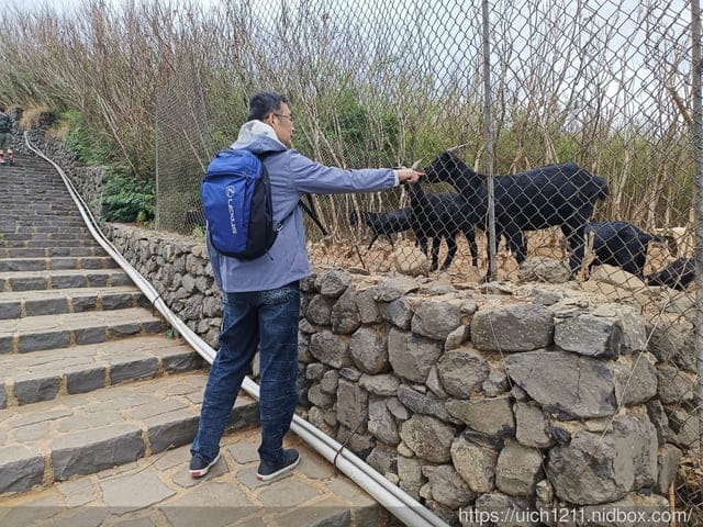 澎湖跳島玩 - 第80張圖 澎湖跳島玩