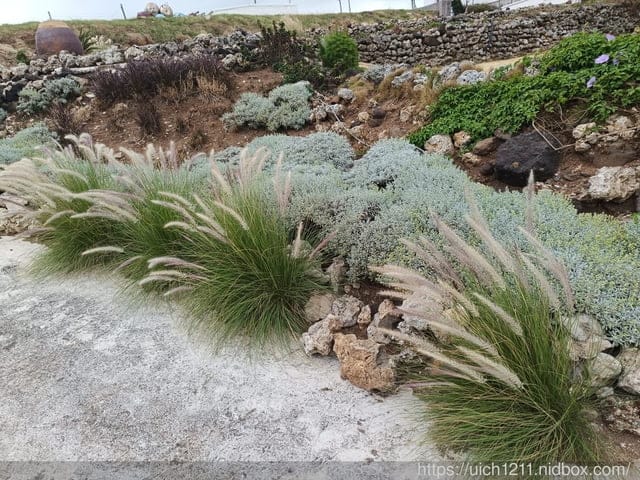 澎湖跳島玩 - 第111張圖 澎湖跳島玩