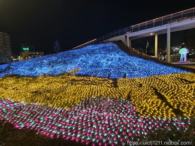 澎湖跳島玩 - 第44張圖 澎湖跳島玩