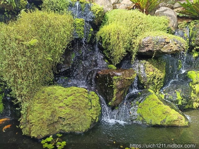 飛花落院 - 第2張圖 飛花落院