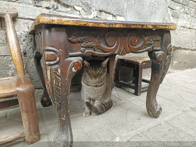 合肥重慶之旅
