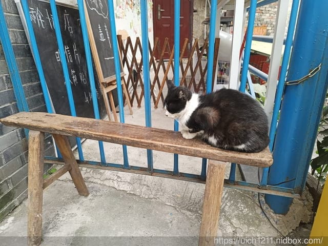 合肥重慶之旅