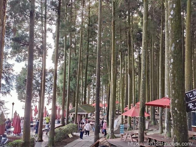2023跨年之旅