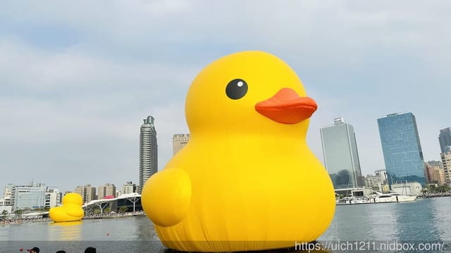 高雄小鴨