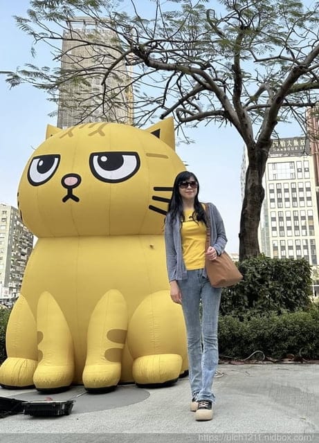 高雄小鴨