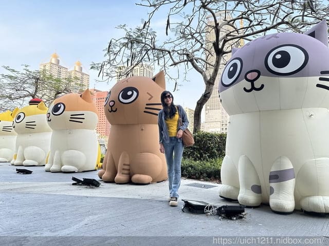 高雄小鴨