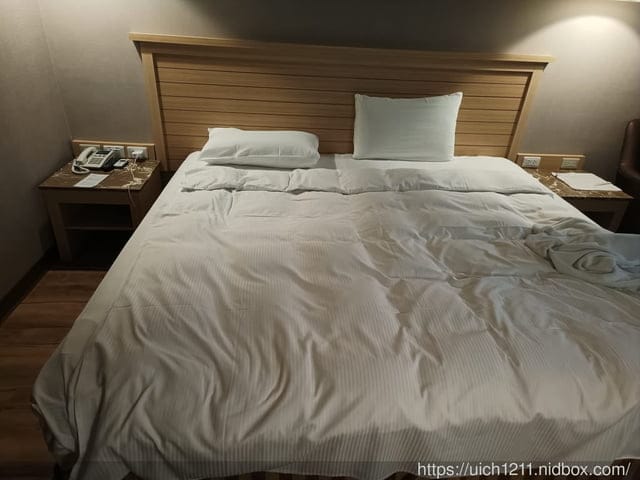 高雄小鴨