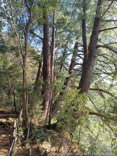 中部爬山趣