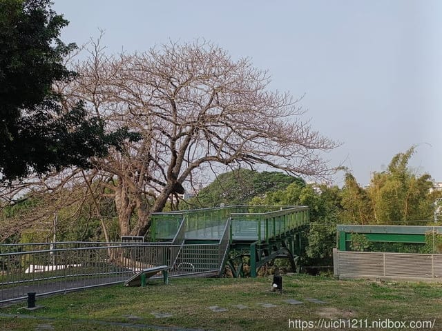 中部爬山趣