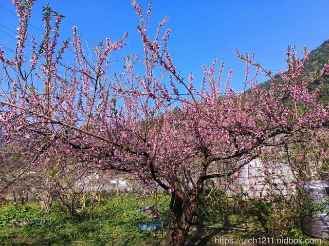 中部爬山趣