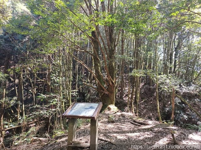 中部爬山趣